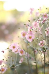 Beauty in Pittsburgh